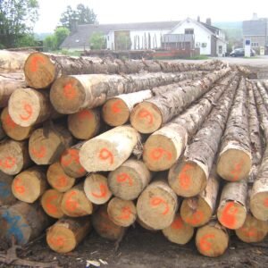 Laub-Hartholz gemischt